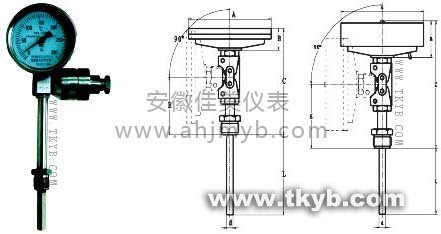 ����ʽ˫�����¶ȼ�